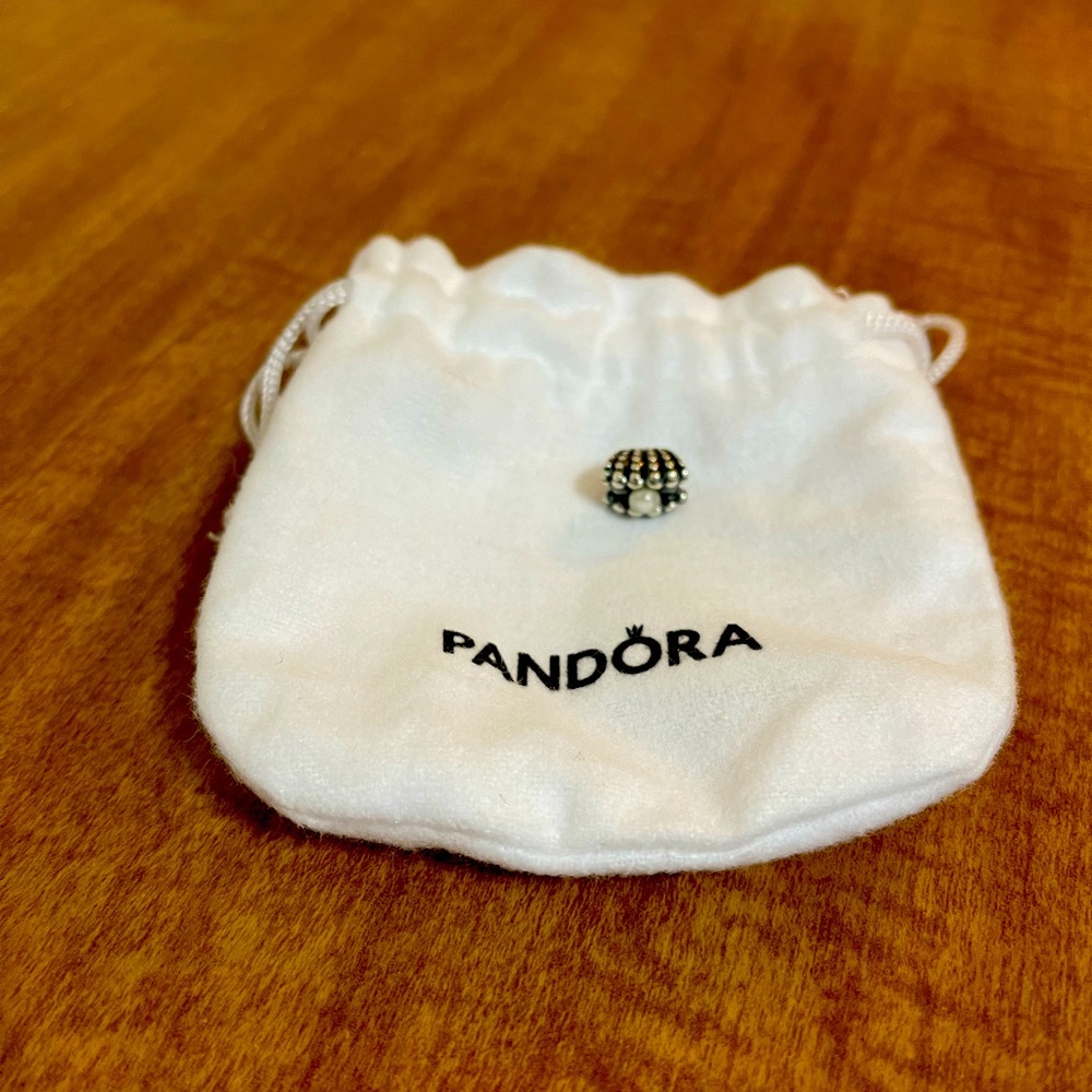 Pandora One Of A Kind Pearl Oyster
